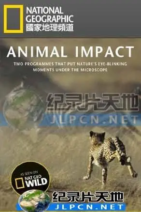 《动物构造大揭秘》：一场颠覆认知的生命之旅，探索生物进化的奇妙密码！