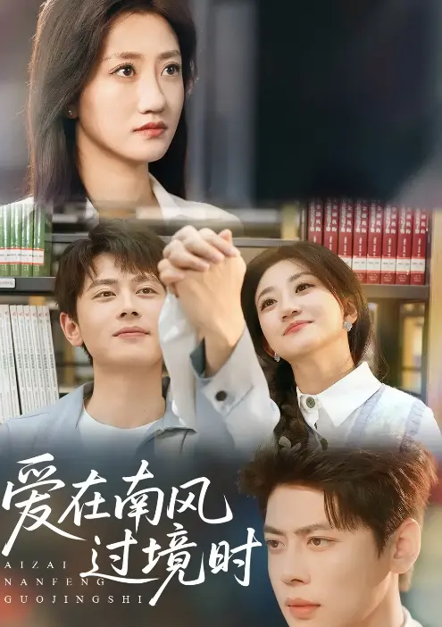 在南风拂过的浪漫旅程中探寻真爱：《爱在南风过境时》情感深度剖析