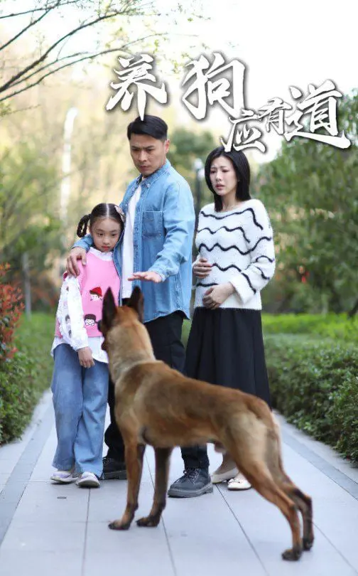 《养狗应有道》：新手养狗避坑指南，教你成为合格的铲屎官！