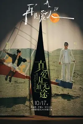 《再见爱人第四季》：情感的终极试炼，当爱与勇气在抉择中闪耀